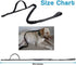 Tactical Bungee Dog Leash Heavy Duty with 2 Handle Control, Quick Release for Cat Dog Pet Training Leashes