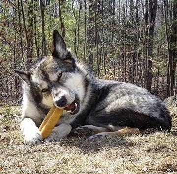 Bully Bunches Mega Authentic Yak Cheese Himalayan Chews for Giant Dogs, All Natural Dental Chews (4 PK)