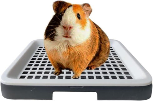 Guinea Pig Litter Tray Pan with Grate for Cage - Small Animal