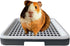 Guinea Pig Litter Tray Pan with Grate for Cage - Small Animal