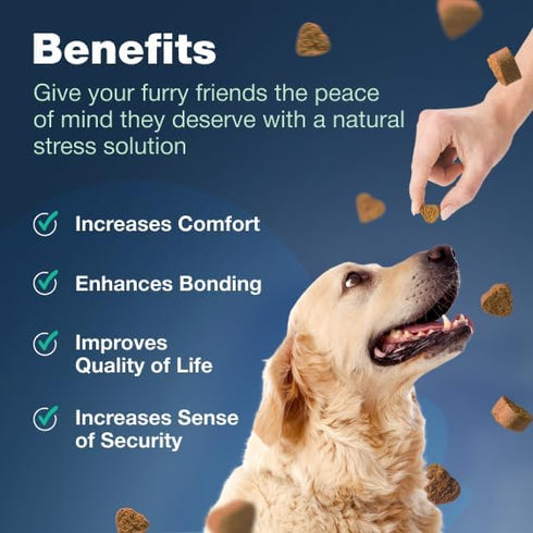Probiotics for Dogs - Support Gut Health, Immunity, Itchy Skin, Allergies - 180 Probiotic Chews for Dogs