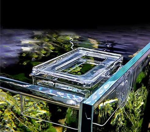 2PCS Acrylic Floating Fish Feeding Ring for Betta, Goldfish, Fish Feeding Ring for Aquarium Fish (L)
