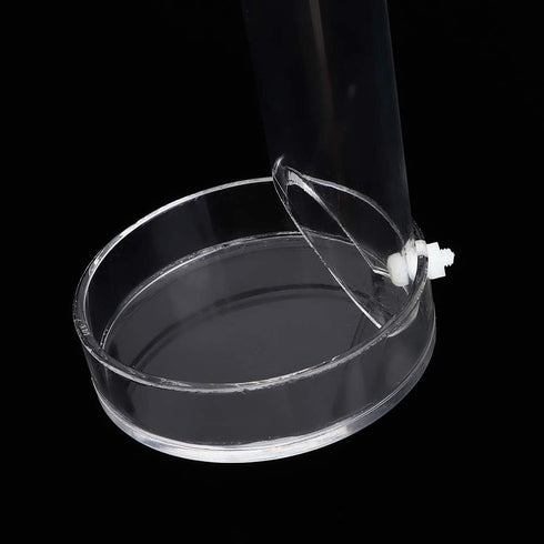 Acrylic Shrimp Feeding Tube and Dish, Transparent Aquarium Feeder with Suction Cups for Fish Tank Shrimp