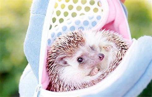 Backpack Yosoo Portable White Mesh African Hedgehog Hamster Breathable Pet Dog Carrier Bags Handbags Puppy Cat Travel