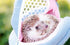 Backpack Yosoo Portable White Mesh African Hedgehog Hamster Breathable Pet Dog Carrier Bags Handbags Puppy Cat Travel