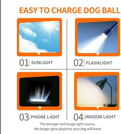 SKIPDAWG Interactive Squeaky Light Up Dog Ball | Glow in Dark, Floating Toy, Durable TPR, 2.5 Inches