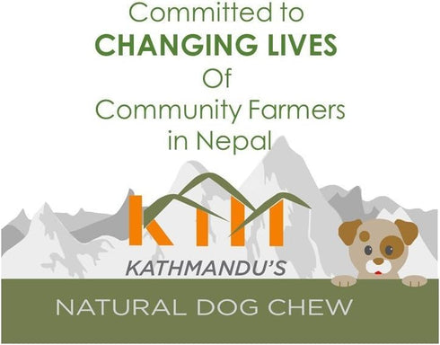 Authentic Himalayan Yak Cheese for Dogs - Small/Medium (Pack of 4) - Rawhide-Free, NO preservatives