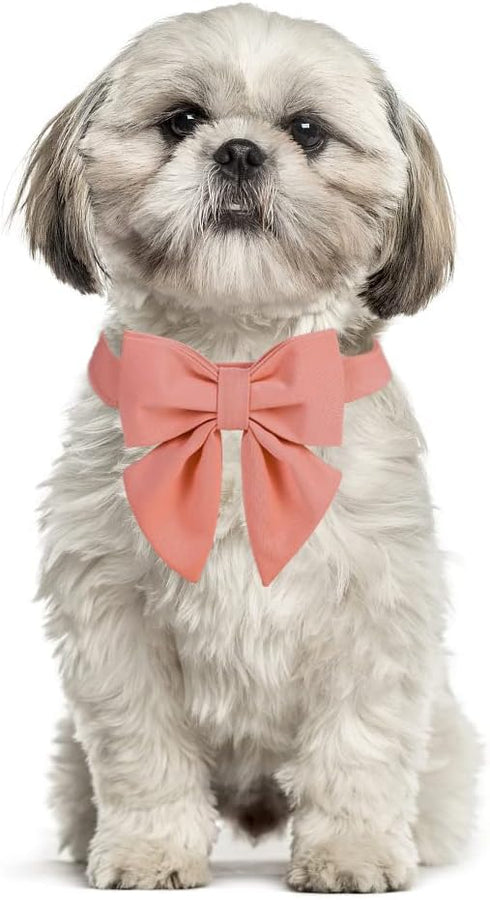 Maca Bates Dog Collar with Bow Tie, Adjustable Breakaway Girly Pink Collar for Small Medium Large Dogs, Birthday Gift