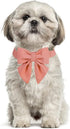 Maca Bates Adjustable Dog Collar with Bow Tie, Solid Colors, Girly Pink, Breakaway for Small Medium Large XL Dogs