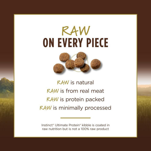 Instinct Ultimate Protein Grain Free Cage Free Chicken Recipe Natural Dry Cat Food, 4 lb Bag
