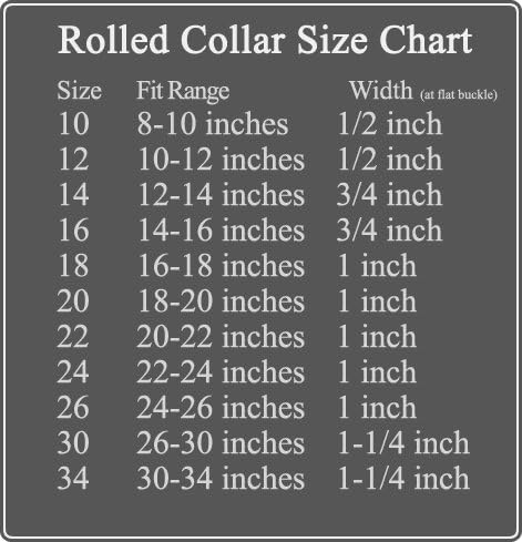 Burgundy Rolled Dog Collar - 22