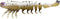 Generic Fishing Lure pslb35 Soft Plastic Shrimp 3.5 Inch 3 per Pack Loose