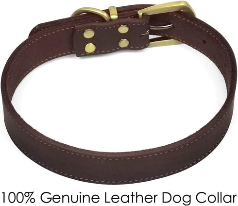 QRDA leather dog collar brown dog training collar heavy duty premium leather dog collar dog collars for medium/large dogs