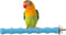 Hypeety Wood Perch Stand Paw Grinding Stick Toy for Bird Cage - Colorful Platform for Parrot Budgies Cockatiels (Random