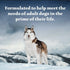 Pack Dogs,Grain-Free,12.5 oz Cans,(Pack 12) Blue Buffalo Wilderness High Protein Beef and Chicken & Salmon and Chicken