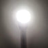 Pactrade Marine LED 22-1/4 Inches All Round Long Stern Light - Navigation Light with Removable 2 Pin Plug