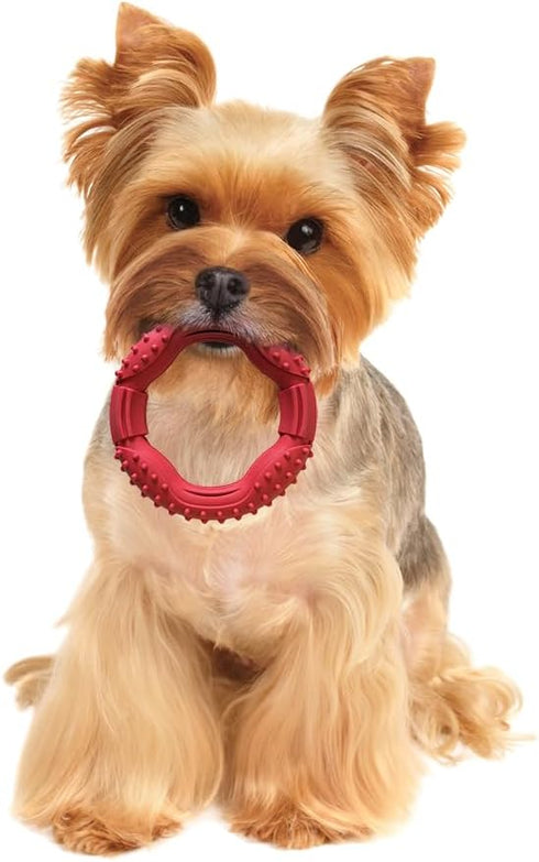 SPOT Barrett Tough Ring, 5in Rubber Dog Toy for Aggressive Chewers