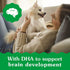 Puppy Teenie Size Natural Dental Dog Treats, 6 oz. Pack (22 Treats) by Greenies