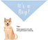 Customizable Triangle Pet Bandana for Dogs and Cats - Fun Birthday Gift