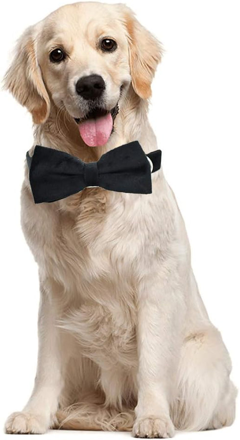 Love Dream Adjustable Velvet Dog Collar with Detachable Bowtie, Soft Comfortable Bow Tie Collars for Large Dogs, Black