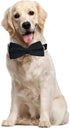Love Dream Adjustable Velvet Dog Collar with Detachable Bowtie, Soft Comfortable Bow Tie Collars for Large Dogs, Black