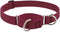 Martingale Dog Collar by Lupine ECO Collection, 1" Wide, Berry, Adjusts 15" to 22"