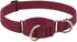 Martingale Dog Collar by Lupine ECO Collection, 1" Wide, Berry, Adjusts 15" to 22"