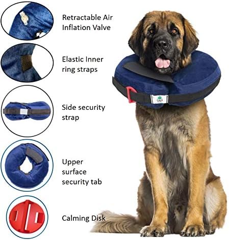 Protective Inflatable Collar XLarge with Dog Calming Disc