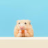 (4.5 oz.) Chinchillas, Yogu Drops With Papaya - Healthy Natural Fruit & Yogurt Treat - For Sugar Gliders, Rats