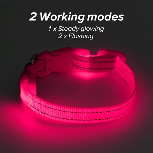 BSEEN Light Up Dog Collars - Rechargeable Glowing LED Dog Collar for Small Dogs & Cats (Pink)