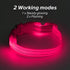 BSEEN Light Up Dog Collars - Rechargeable Glowing LED Dog Collar for Small Dogs & Cats (Pink)