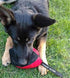 Dingo Gear Dog Tug Ball, 4" for Strong Tugger, Bite Training, Fun, Red S02780