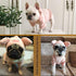 Dog Sweater - Pet Pig Pattern Sweatshirt for Small Dogs Cats, Puppy Hoodie Jacket for Spring, Winter & Autumn