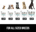 Gorilla Grip Stainless Steel Dog Bowl Set of 2, Heavy Duty Feeding Dishes, Rubber Base, BPA Free, Turquoise, 4 Cups