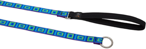 LupinePet Originals 3/4" Sea Glass Slip Lead/Leash, 6-foot for Medium and Larger Dogs