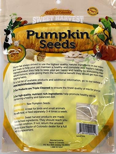 Pumpkin Seeds, 5 Oz Bag, Real Pumpkin Seeds for Birds and Small Animals, Rabbits, Hamsters, Mice