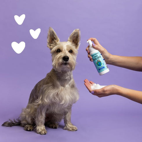 Bilberry 8 Oz earthbath, Foaming Facial Wash - Dog Face Wash, Hypoallergenic, Tear Free Formula, Sulfate & Paraben