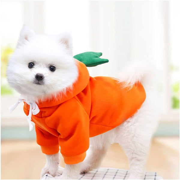 XIAOYU Pet Clothes Dog Hoodies, Warm Sweatshirt Coat for Puppy Autumn Winter Apparel, Carrot, M