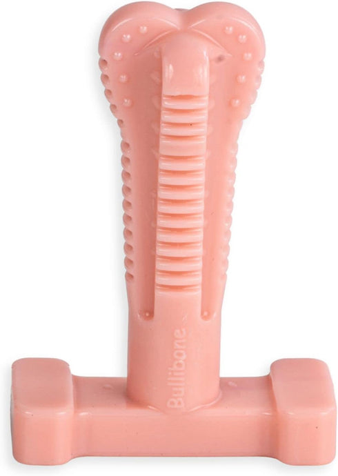 Bullibone SuperBrush Dog Toothbrush Stick, Long Lasting Nylon Chew Toy, Pink Peppermint for Oral Care