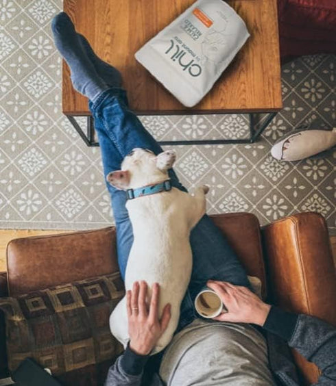 CHILL Bites Calming Dog Treats for Relaxation - Made with Peanut Butter, Chamomile, & Melatonin to Help Reduce Anxiety