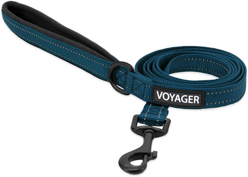 Best Pet Supplies Voyager Reflective Dog Leash, 5ft Long, Heavy Duty for Walking, Running, and Training - Blue, 3/4" x