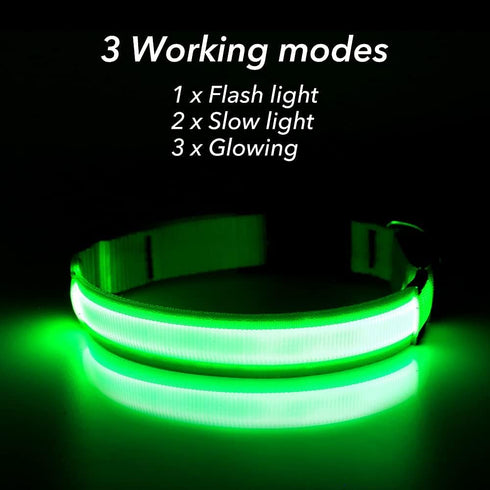 BSEEN Reflective LED Dog Collar - Light Up Dog Collars for Safe Walking at Night - Rechargeable for Dogs, Neon Green,