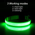 BSEEN Reflective LED Dog Collar - Light Up Dog Collars for Safe Walking at Night - Rechargeable for Dogs, Neon Green,