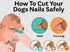 Pet Nail Clippers and Trimmers with Guard, Includes Nail File - Ideal Grooming Tool for Cats and Dogs