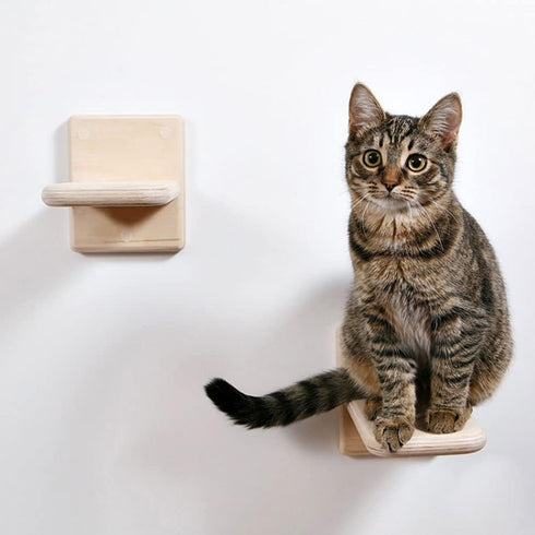 2 PCS Cat Wall Shelves, Wood Cat Climber, Wall Mount Cat Climbing Ladder, Cat Perch, Indoor Cat Furniture