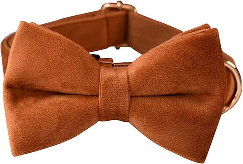 Velvet Bowtie Dog Collar, Soft Comfortable Adjustable with Detachable Bowtie for Small Medium Large Dogs (XLarge,