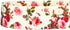 Blueberry Pet 5 ft x 3/4" Durable Pink Rose Print Ivory Dog Leash - 9 Patterns, Medium