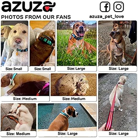 azuza Durable Padded Dog Leash and Collar Set - Reflective Strip for Large Dogs, Extra Safe and Comfy, Orange