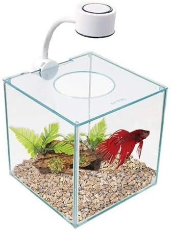 Marina CUBUS Glass Betta Kit - Elegant Glass Aquarium for Homes or Offices