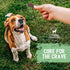 Canine Cravers Single Ingredient Dog Treats – 100% All Natural, Grain, Gluten, and Soy Free (Premium Beef Fillets, 5.3